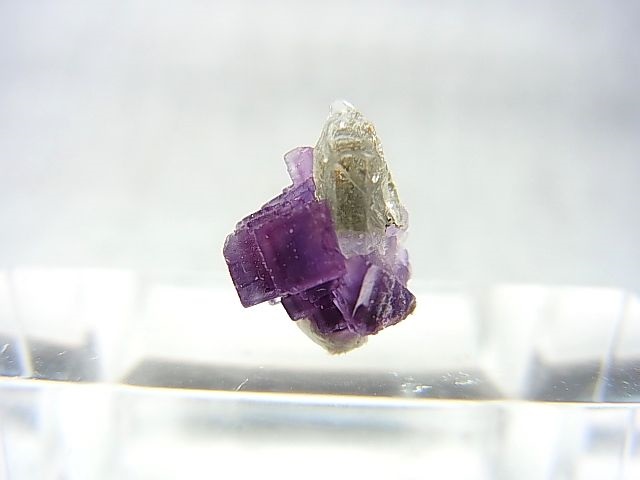 画像1: ドイツ・ザクセン州産フローライトonグリーン水晶 0.6g
