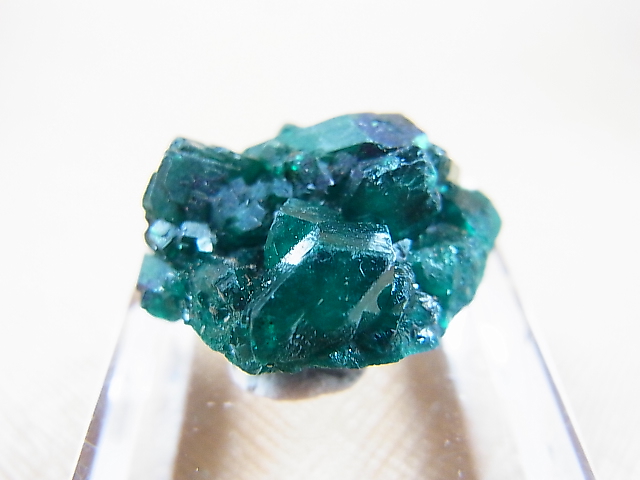 画像1: コンゴ産ダイオプテーズ原石（大粒結晶） 7.9g