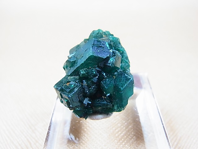 画像: コンゴ産ダイオプテーズ原石（大粒結晶） 7.9g