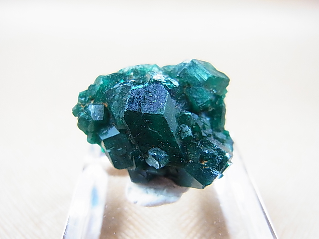 画像: コンゴ産ダイオプテーズ原石（大粒結晶） 7.9g