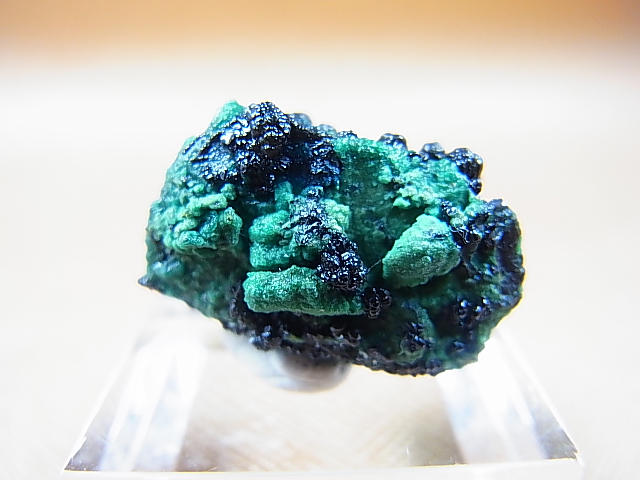 画像: コンゴ産ヘテロゲナイト（ヘテロゲン鉱） 5.5g