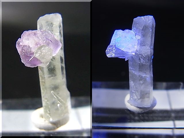 画像: ドイツ・ザクセン州産フローライトonグリーン水晶 1.4g