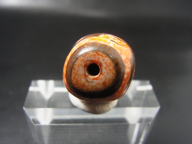 画像: ヴィンテージ：「赤虎牙蓮花」西蔵（チベット）天珠 約20.5×18.5×17.5mm