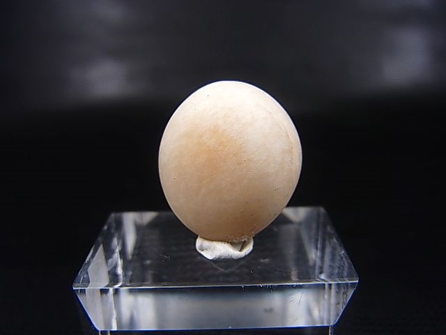 画像1: 和田玉（ホータンぎょく）「無漂白/無着色・白玉」原石 4.5g