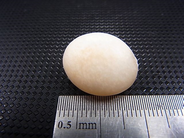 画像: 和田玉（ホータンぎょく）「無漂白/無着色・白玉」原石 4.5g