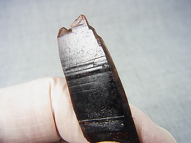 画像: フィンランド・リプシニエミ産モリオン（黒水晶/ケアンゴーム/板状ＤＴ型） 8.3g