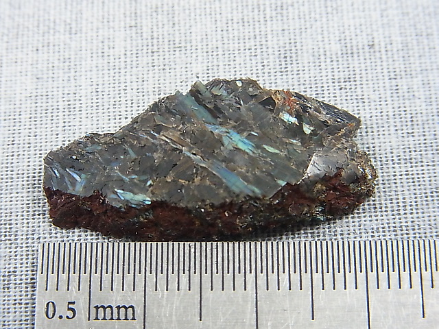 画像: グリーンランド産ヌーマイト研磨スライス 4.0g