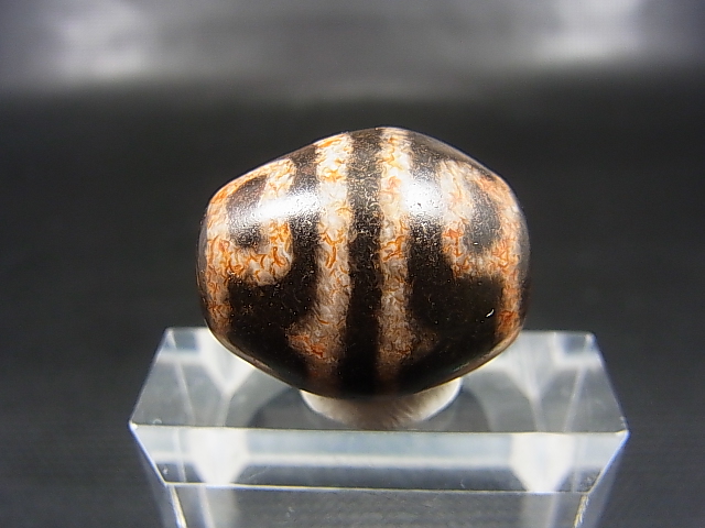 画像1: ヴィンテージ：赤「虎牙蓮花」西蔵（チベット）天珠 約23×19.5×19mm