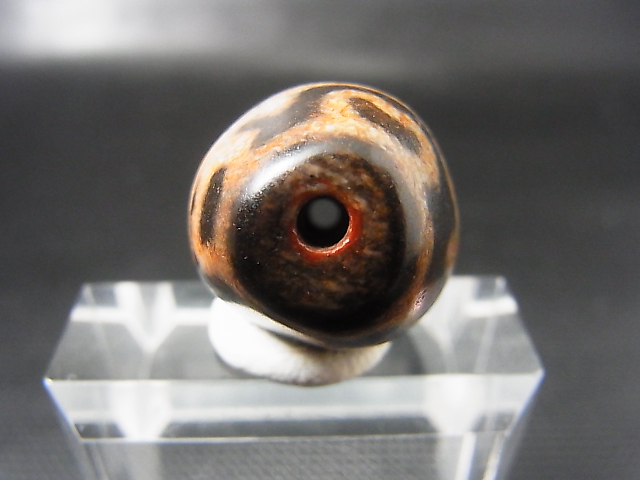 画像: ヴィンテージ：赤「虎牙蓮花」西蔵（チベット）天珠 約23×19.5×19mm