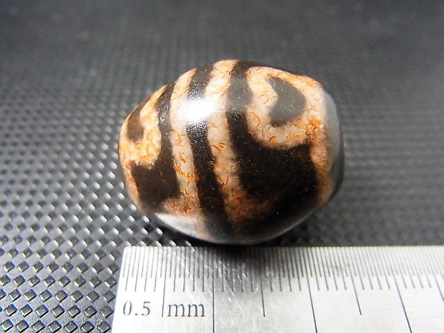 画像: ヴィンテージ：赤「虎牙蓮花」西蔵（チベット）天珠 約23×19.5×19mm