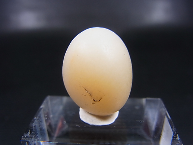 画像: 和田玉（ホータンぎょく）「羊脂白玉」オリジナルビーズ 約18×15×14mm