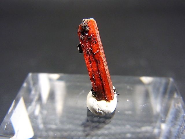 画像: オーストラリア・タスマニア島産クロコアイト柱状結晶 0.3g