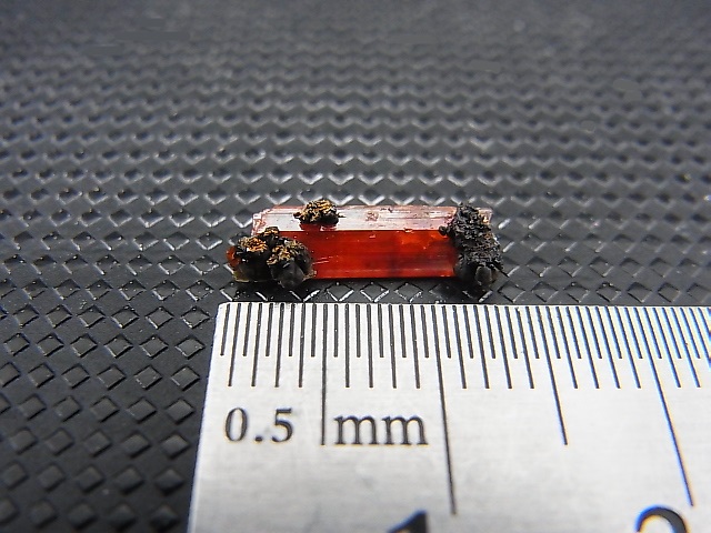 画像: オーストラリア・タスマニア島産クロコアイト柱状結晶 0.3g
