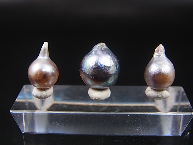 画像: ベトナム・ニャチャン産バロックパール（黒蝶貝＆アコヤ貝/穴開け無し） 3点セット