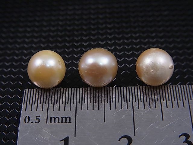 画像: ベトナム・ニャチャン産パール（アコヤ貝/穴開け無し） 3点セット