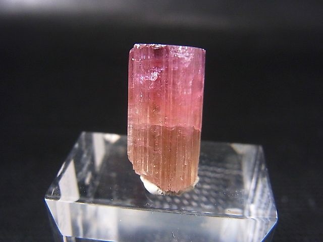 画像1: ナミビア・エロンゴ産ピンクトルマリン柱状結晶 18.6カラット