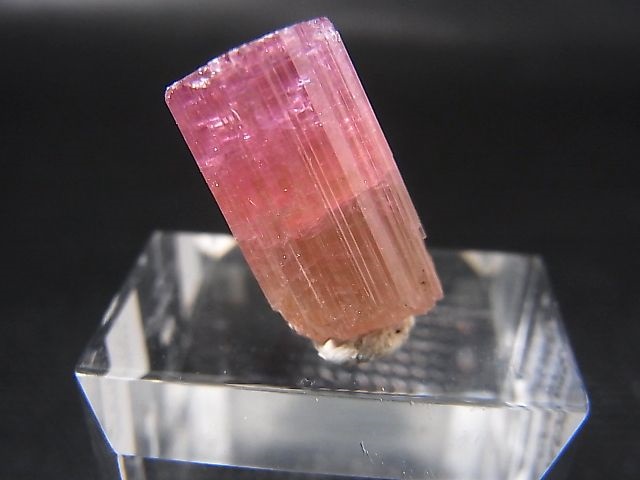 画像2: ナミビア・エロンゴ産ピンクトルマリン柱状結晶 18.6カラット