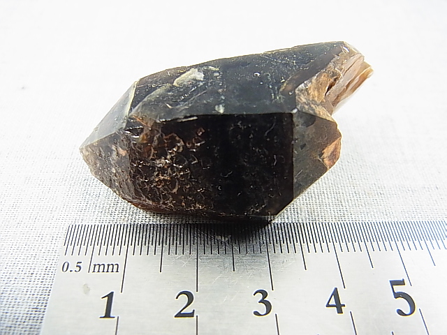 画像: フィンランド・リプシニエミ産モリオン（黒水晶/ケアンゴーム/ＤＴ/セルフヒールド） 30.0g