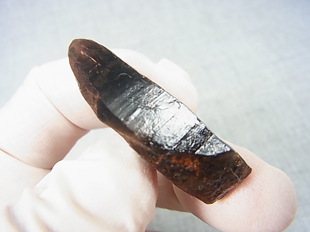 画像: フィンランド・リプシニエミ産モリオン（黒水晶/ケアンゴーム） 7.9g
