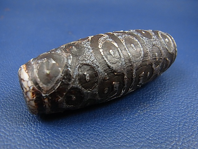 画像: 「三十六眼」老礦（ろうこう）現代天珠 直径約21.5×55.5mm