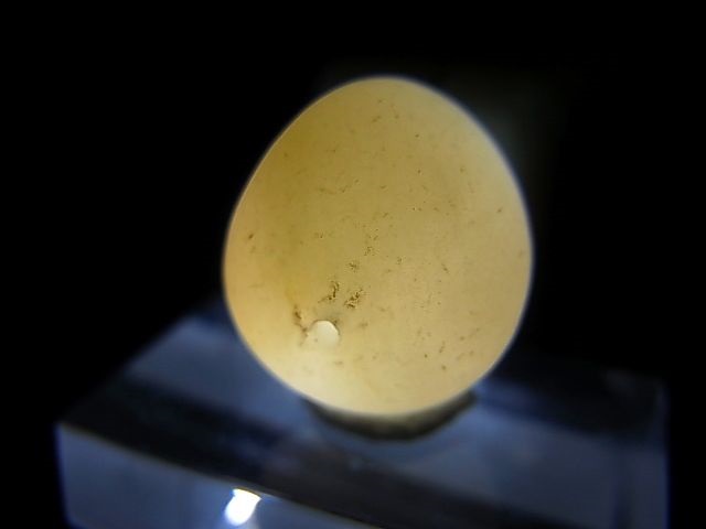画像: 和田玉（ホータンぎょく）「羊脂白玉」オリジナルビーズ 約16×13.5×13.5mm