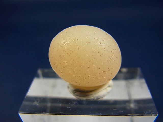 画像: 和田玉（ホータンぎょく）「羊脂白玉」オリジナルビーズ 約15.5×13×13mm
