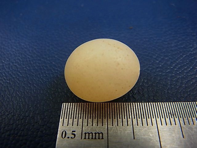 画像: 和田玉（ホータンぎょく）「羊脂白玉」オリジナルビーズ 約15.5×13×13mm