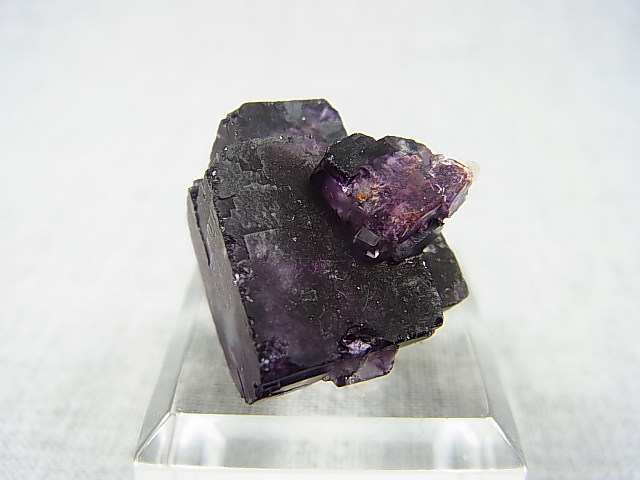 画像: ナミビア・エロンゴ産ブラック(ディープパープルカラー)フローライト原石 11.0g