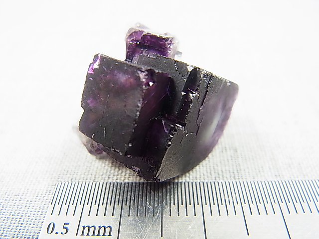 画像: ナミビア・エロンゴ産ブラック(ディープパープルカラー)フローライト原石 11.0g
