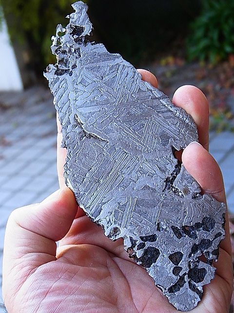 画像: 【レアものおすすめ超特価】特大：ロシア産セイムチャン・パラサイト（石鉄）隕石153.4g